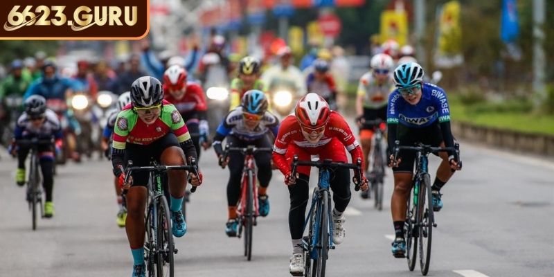 Cá Cược Đua Xe Đạp 6623 – Hướng Dẫn Toàn Diện Cho Người Mới 2 Đặt cược top 3/top 10