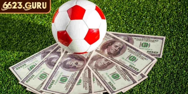 Kèo Rung 6623 – Cách Chơi Và Bắt Kèo Từ Chuyên Gia 2 Kinh nghiệm bắt kèo rung